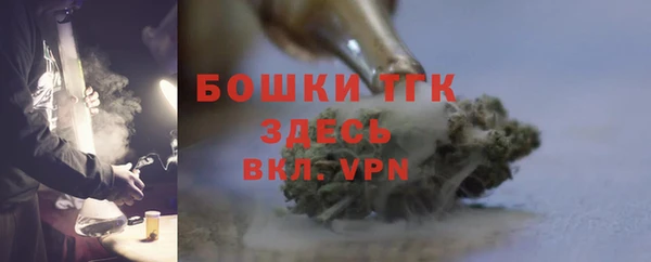 стаф Горняк