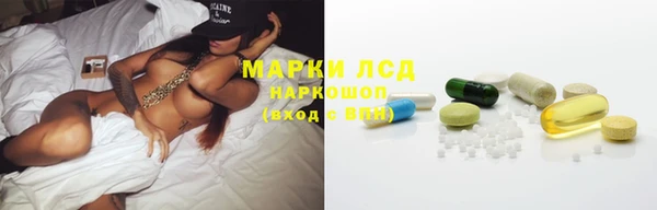 стаф Горняк