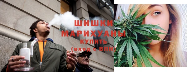 стаф Горняк