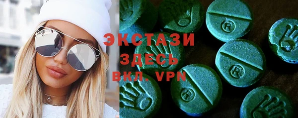 стаф Горняк