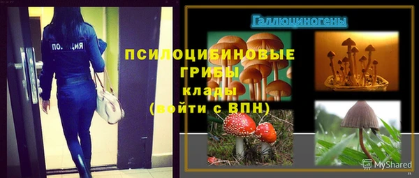 марки lsd Горнозаводск