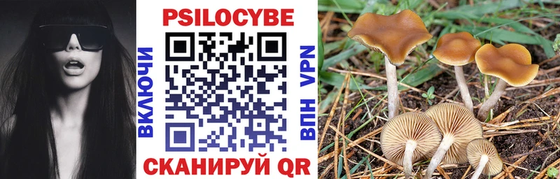 Купить  Лангепас  Псилоцибиновые грибы ЛСД 